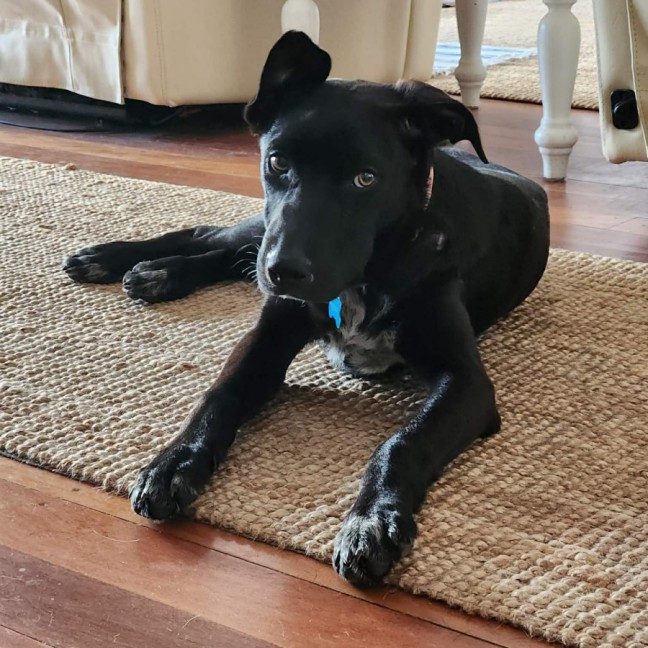 Photo of Coco