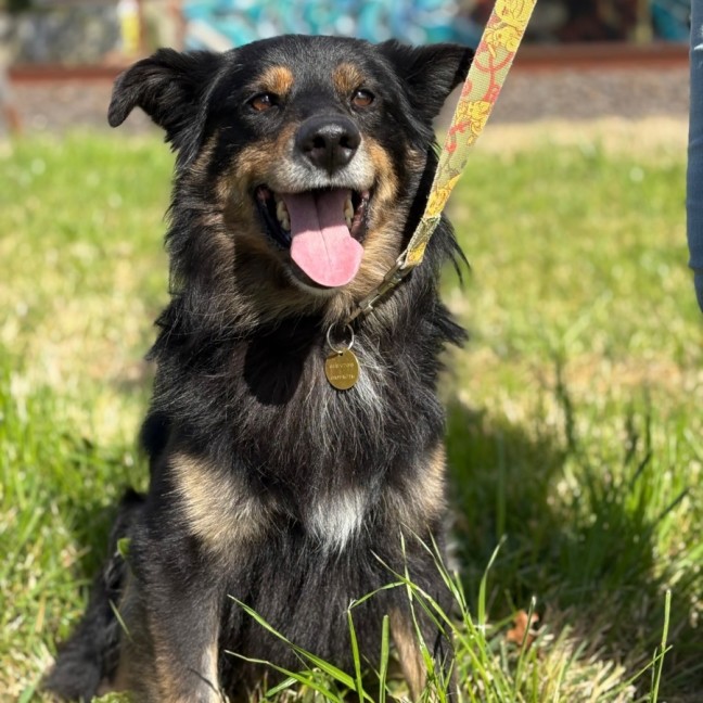 Photo of Bixby
