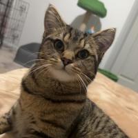 Photo of Ashley, Milo, Teddy