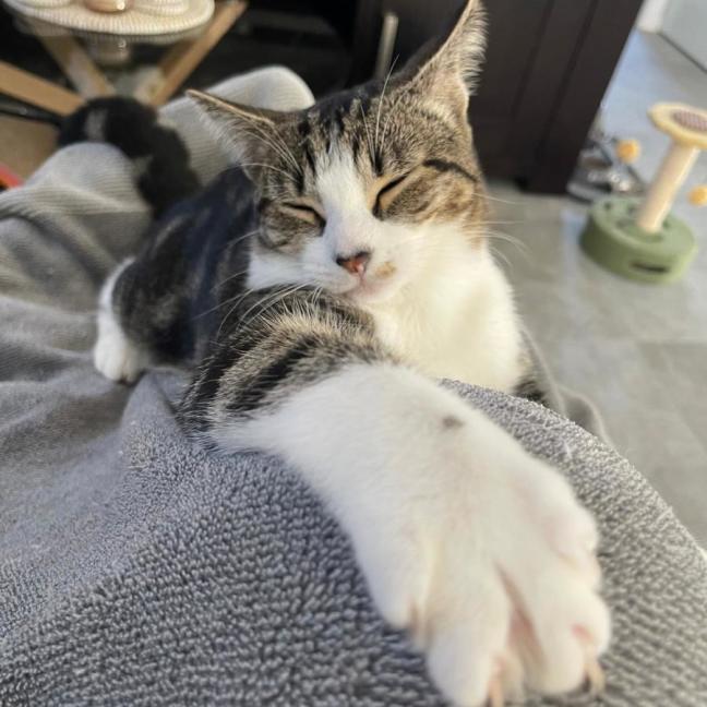 Photo of Asher