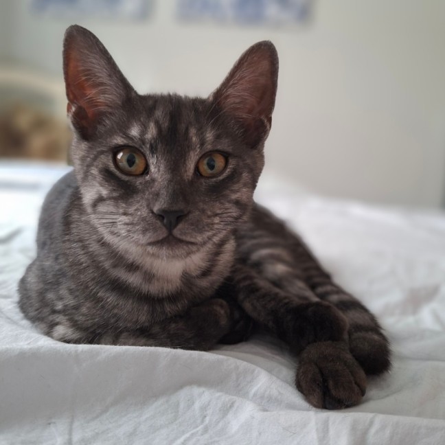 Photo of Raymond