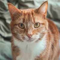 Photo of Finn & Percy