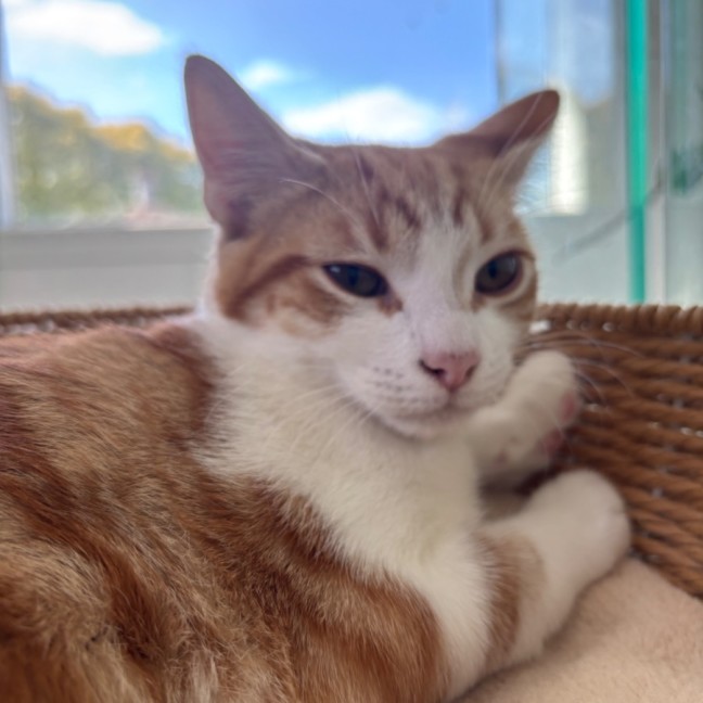 Photo of 🧡Reito🧡