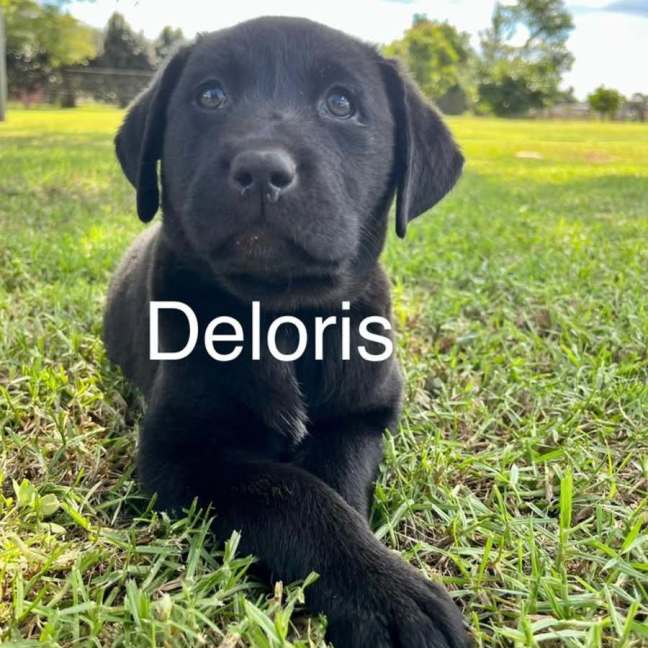 Photo of Deloris