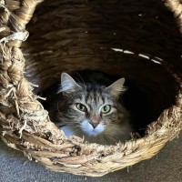 Photo of Leia ☁️