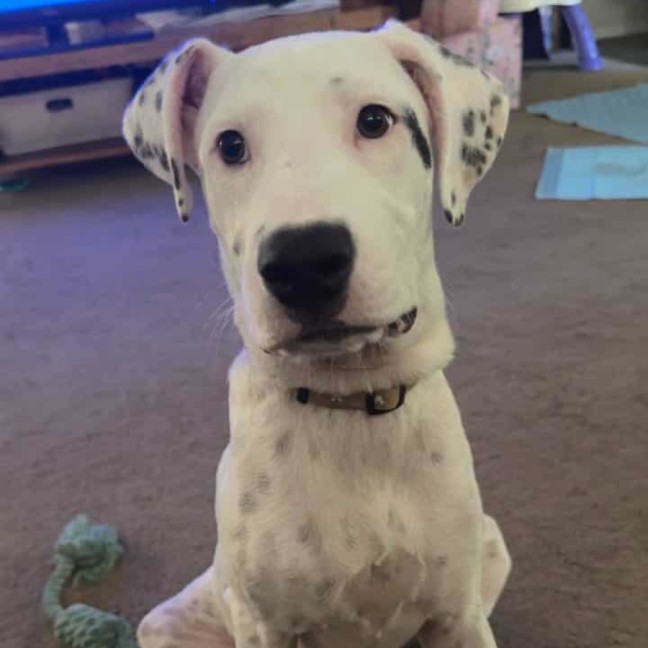 Photo of Maya