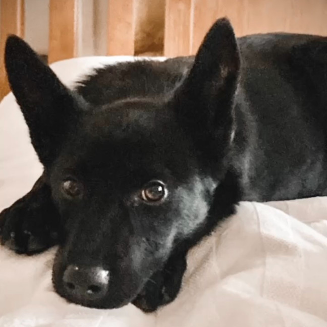 Photo of Jacky Weaver