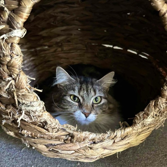 Photo of Leia ☁️