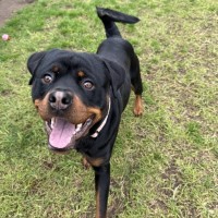 Photo of Max