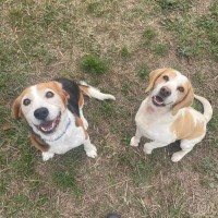 Photo of Enzo And Mia