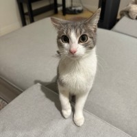 Photo of Athena