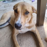 Photo of Milli