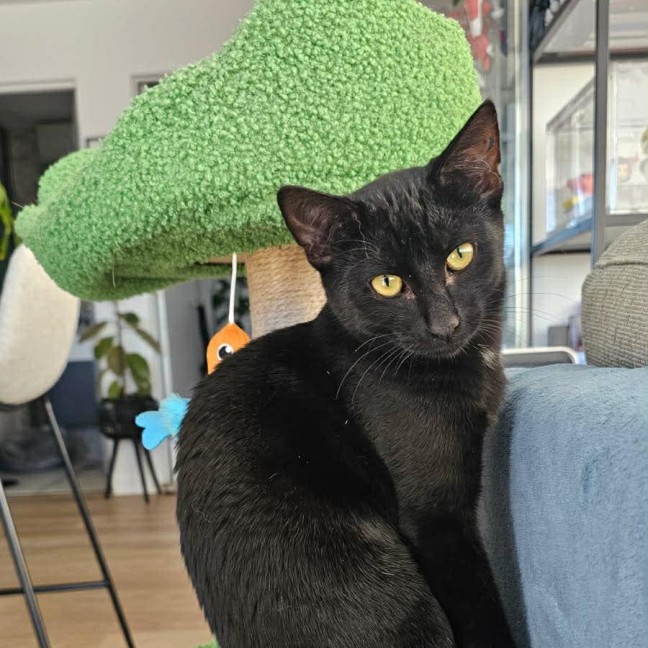 Photo of Yertle