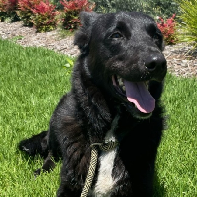 Photo of Max