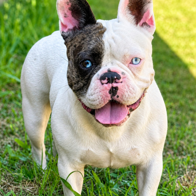 Photo of Lulu
