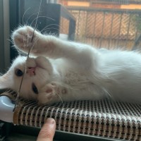 Photo of Atticus Finch 