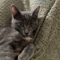 Photo of Chloe