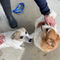 Photo of Meg And Trixie