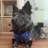 Photo of Sterling