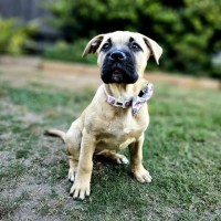 Photo of Coco