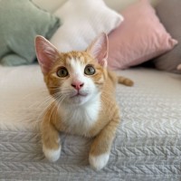 Photo of Marvin