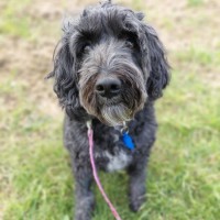 Photo of Tilly 