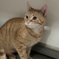 Photo of Bingo