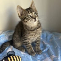 Photo of Casper