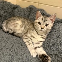 Photo of Chutney 