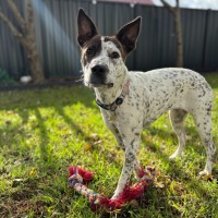 Photo of Minkymo