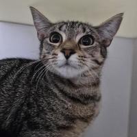 Photo of 🧨 Palmer 6919 🧨