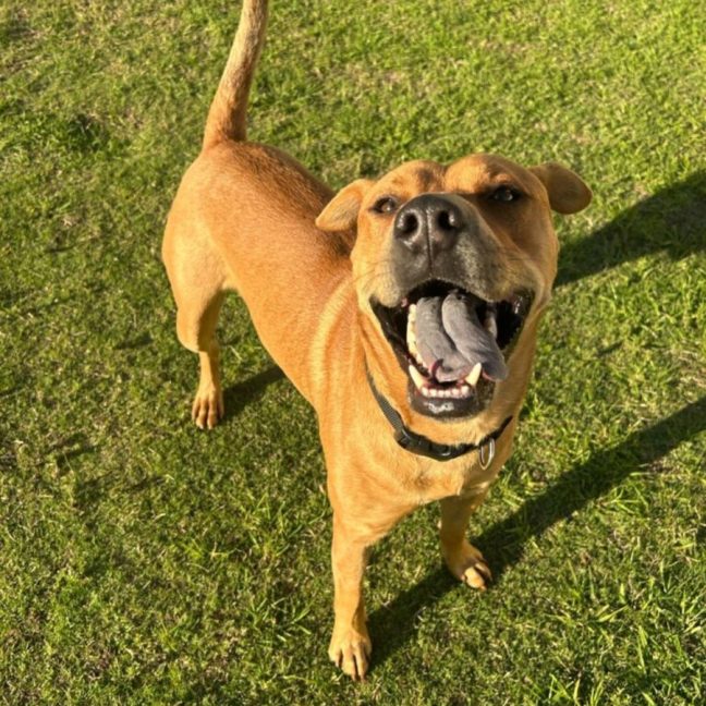 Photo of Memphis