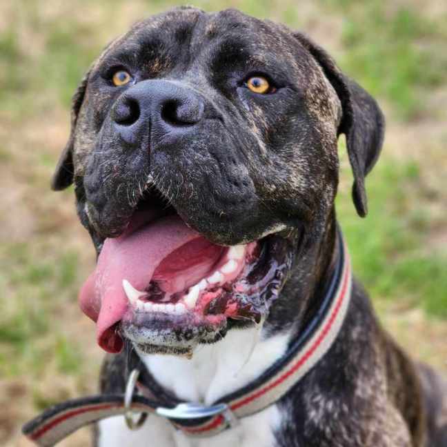 Photo of 🥛 Eggnog 5520 🥛