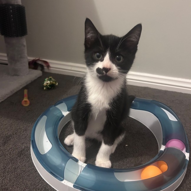 Photo of James Bond 💜