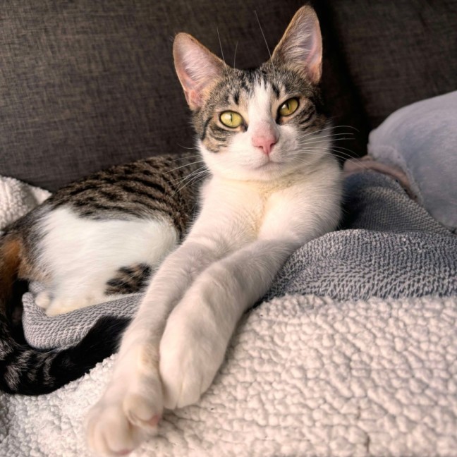 Photo of Sinead & Christy  