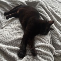 Photo of Precious