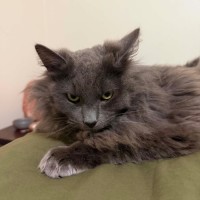 Photo of Dennis