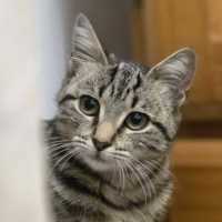 Photo of Willow