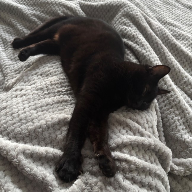 Photo of Precious