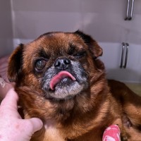 Photo of Arthur