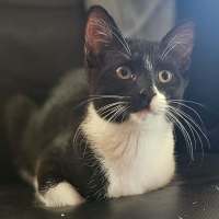 Photo of Milly