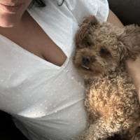Photo of Bonnie