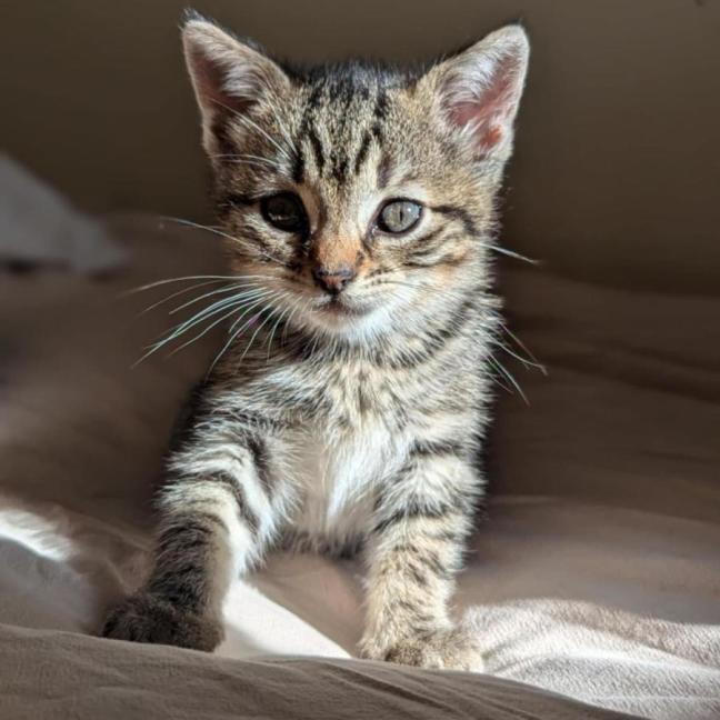 Photo of Bean & Munchkin