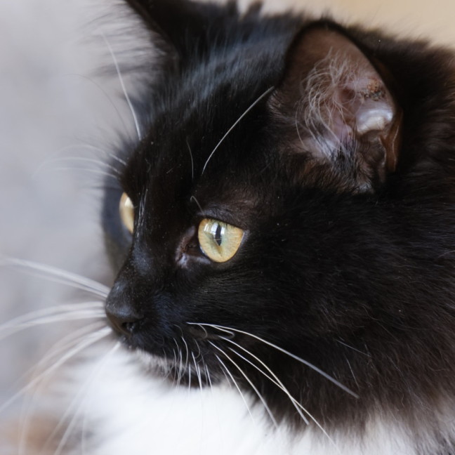 Photo of Mimi
