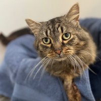 Photo of Carlos Aka Carlitos