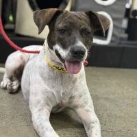 Photo of Billie Jean