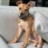 Photo of Claudius 