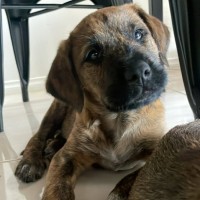Photo of Marcus
