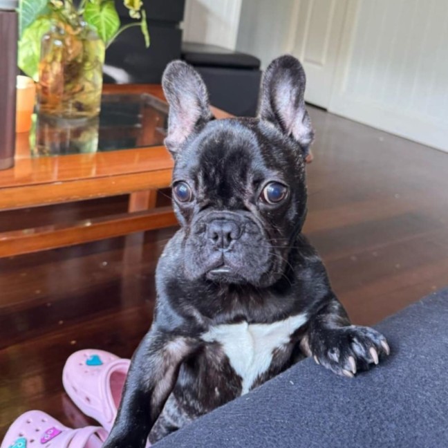 Photo of Aria