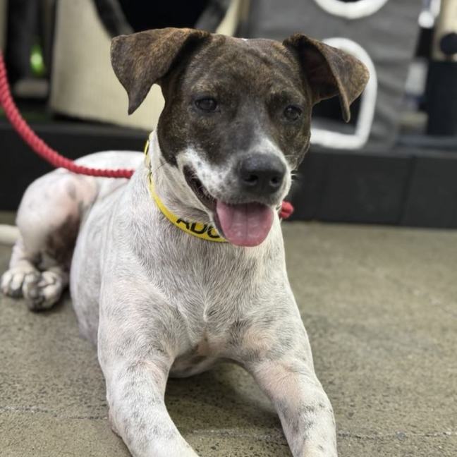 Photo of Billie Jean